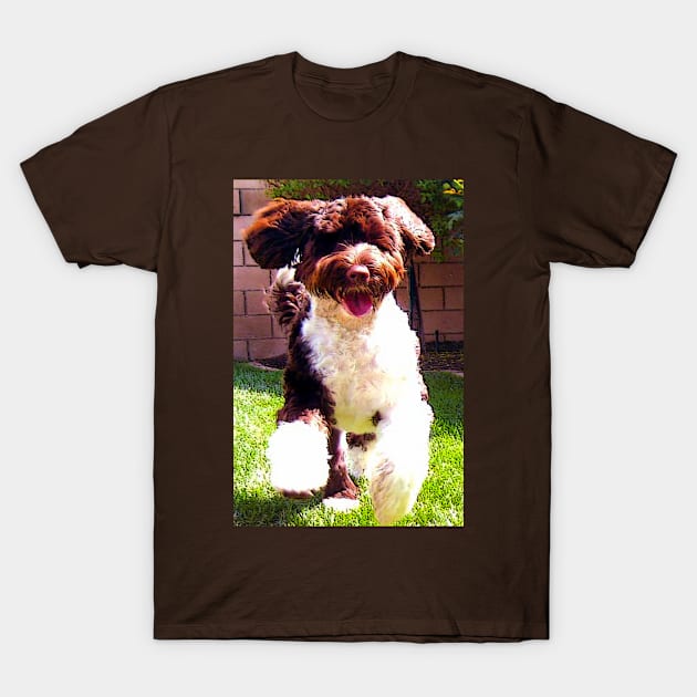 Portuguese Water Dog T-Shirt by CarloVaro